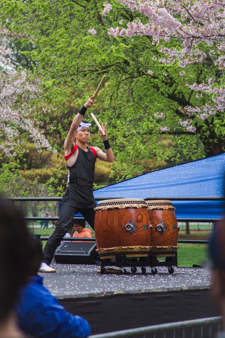 Cherry Blossom Festival