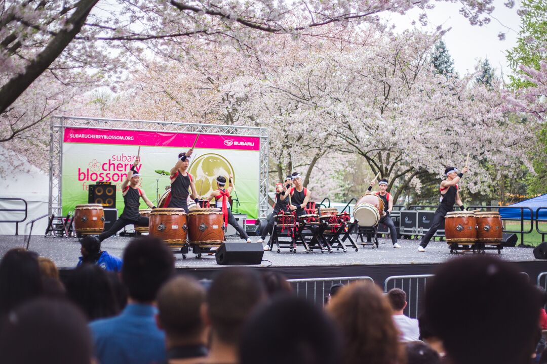 Cherry Blossom Festival