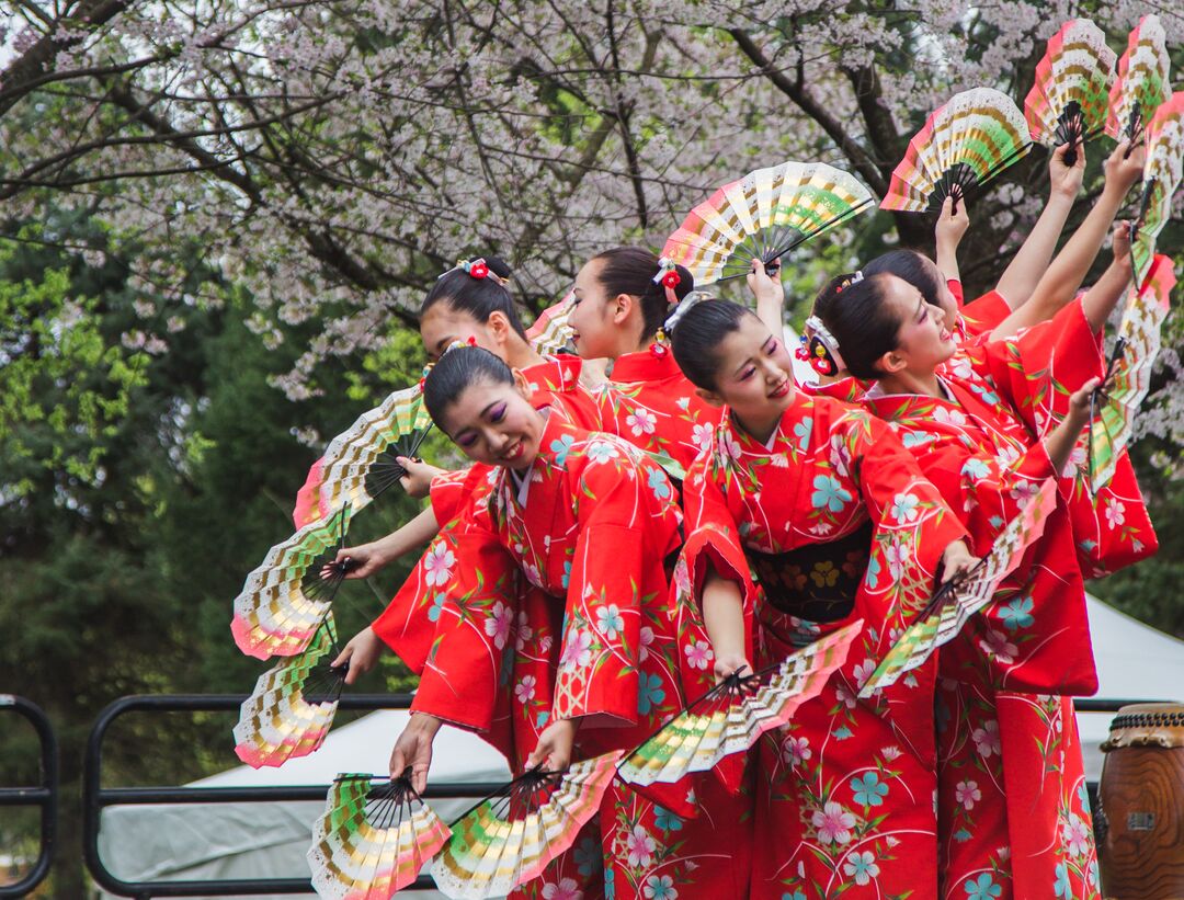 Cherry Blossom Festival