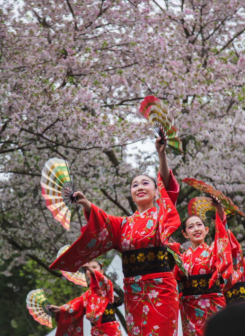 Cherry Blossom Festival