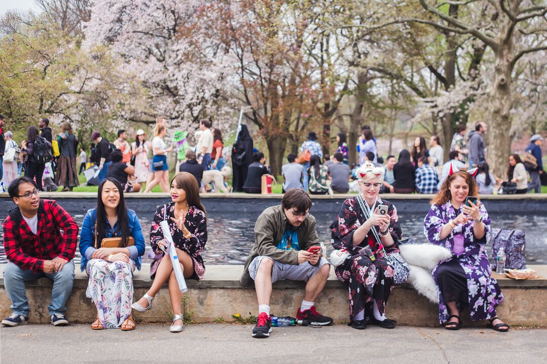 Cherry Blossom Festival