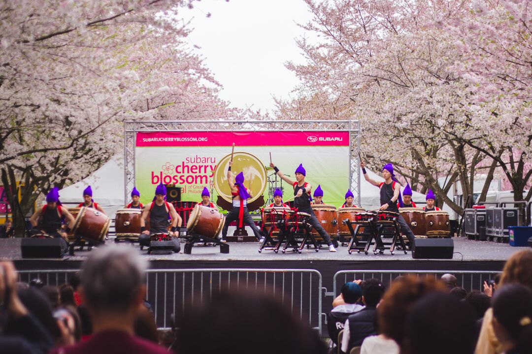 Cherry Blossom Festival