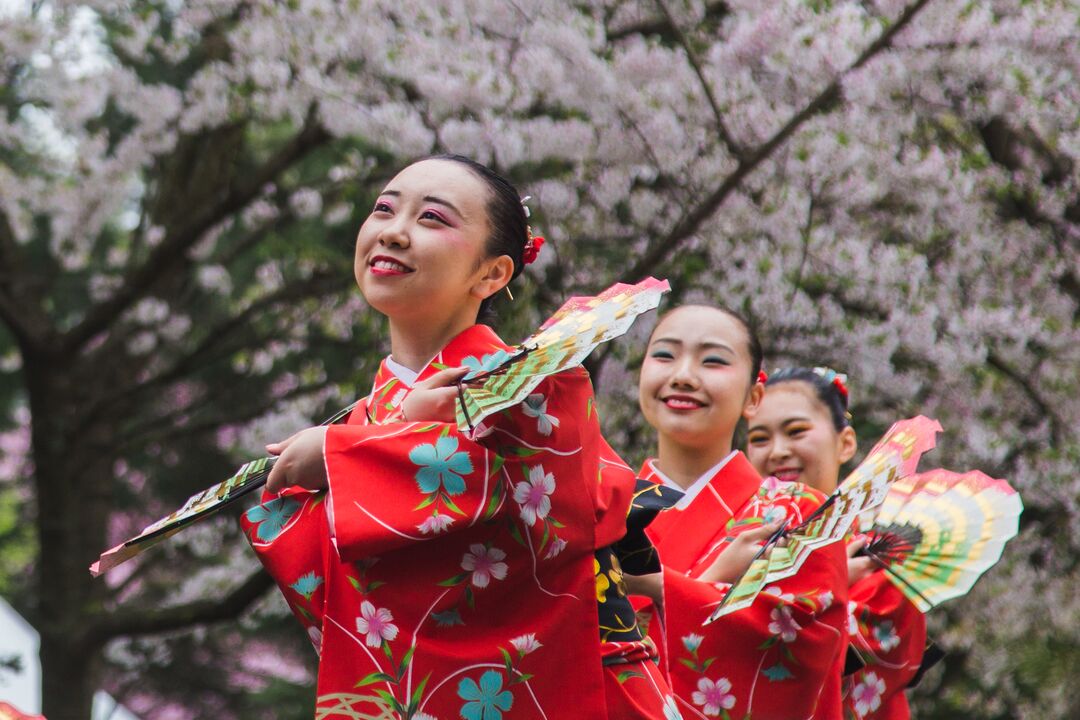 Cherry Blossom Festival