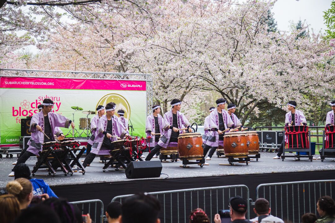 Cherry Blossom Festival