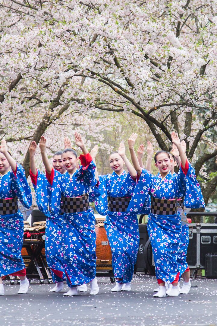 Cherry Blossom Festival