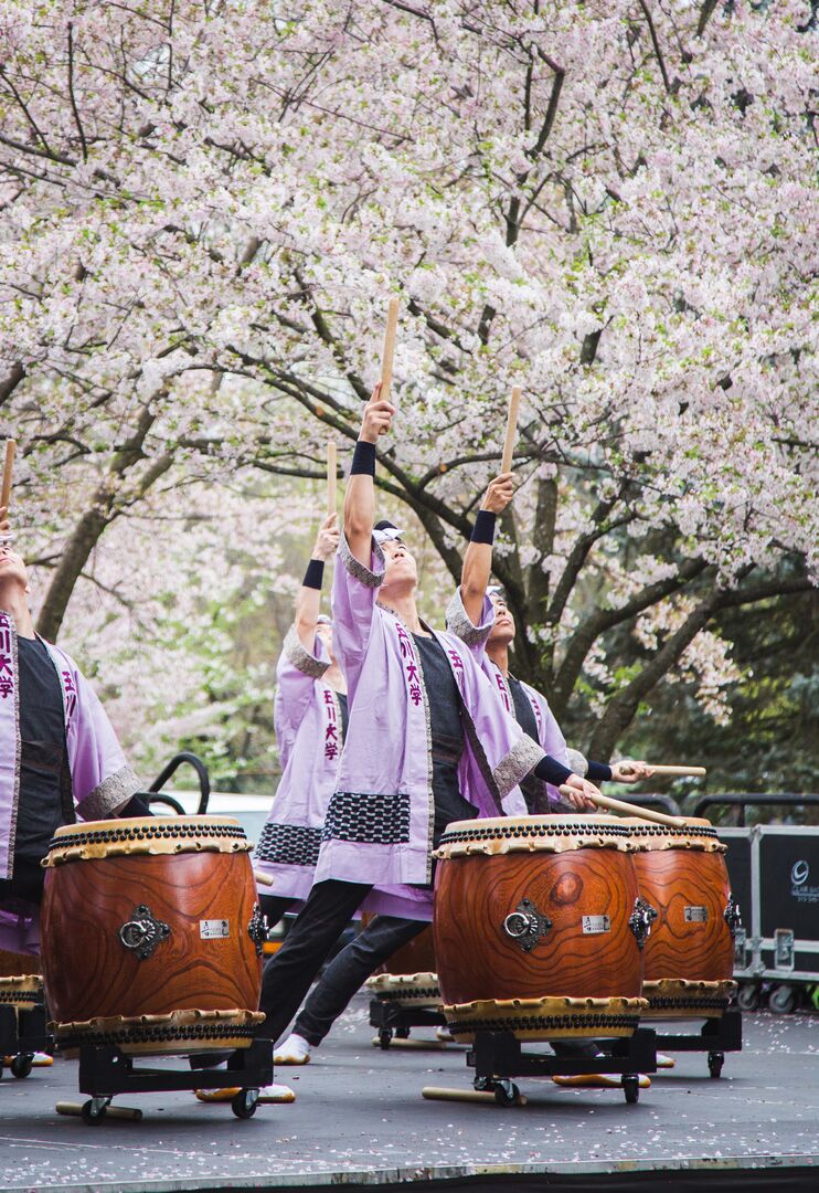 Cherry Blossom Festival