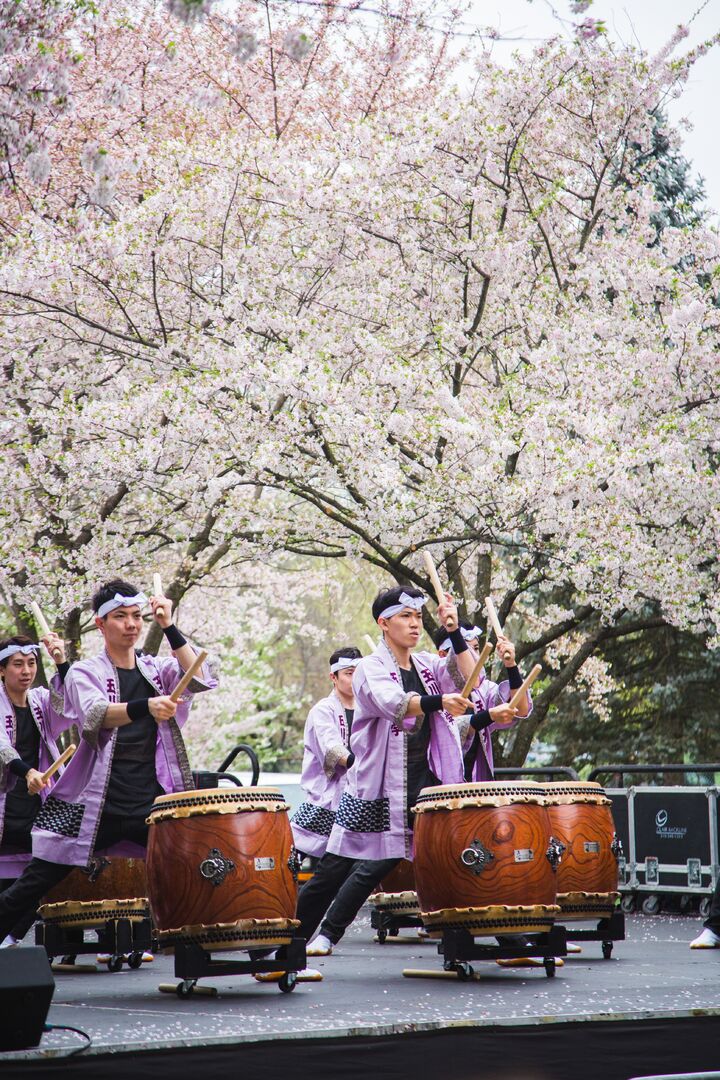 Cherry Blossom Festival