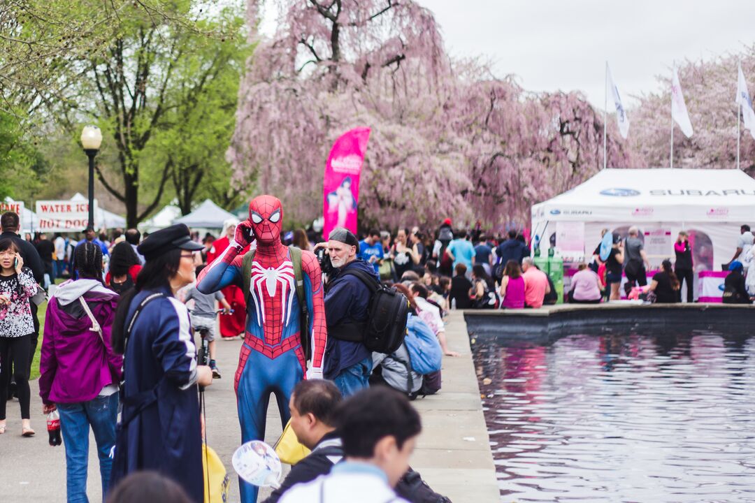 Cherry Blossom Festival