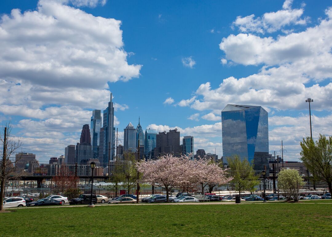 Drexel Park: Cherry Blossoms