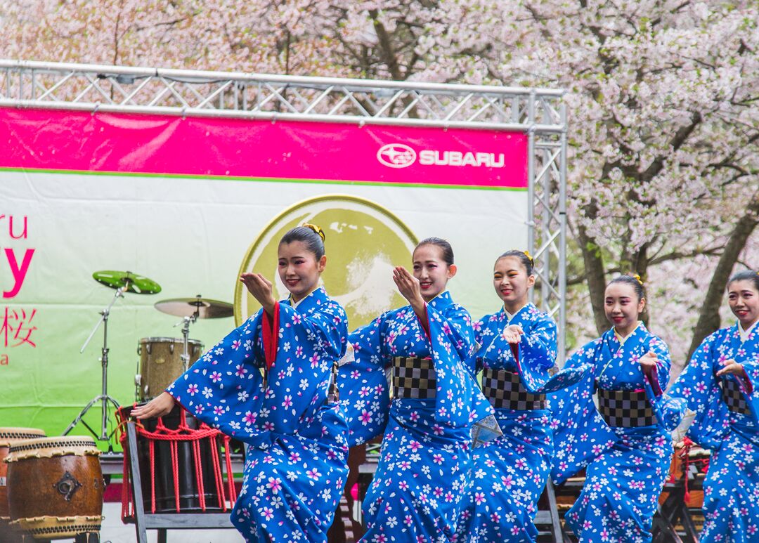 Cherry Blossom Festival