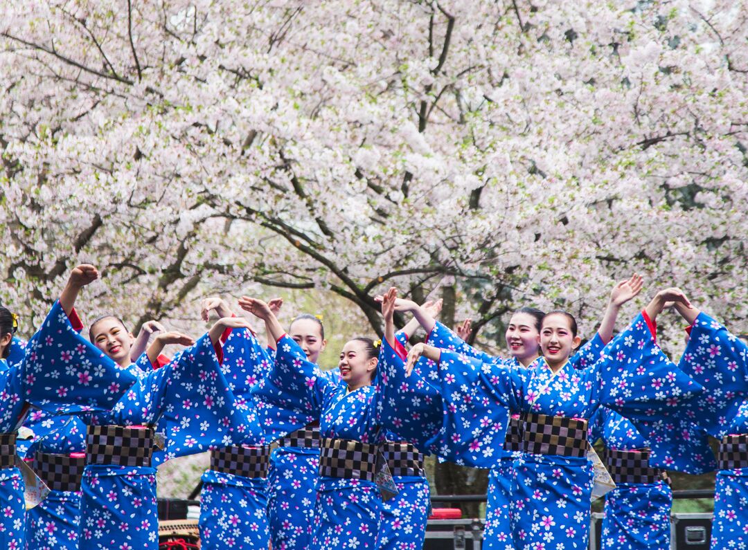 Cherry Blossom Festival