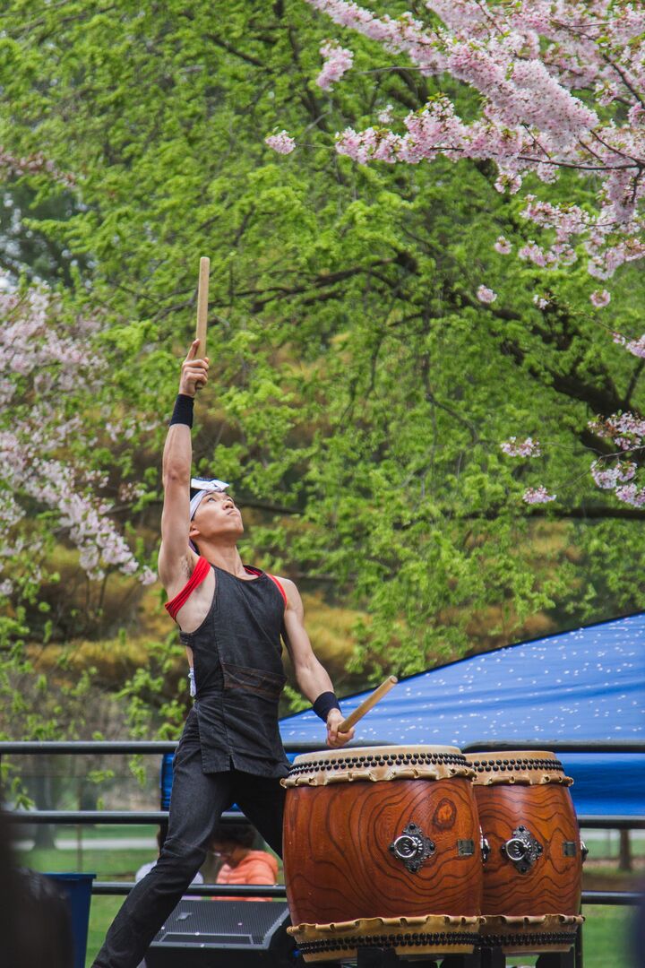 Cherry Blossom Festival