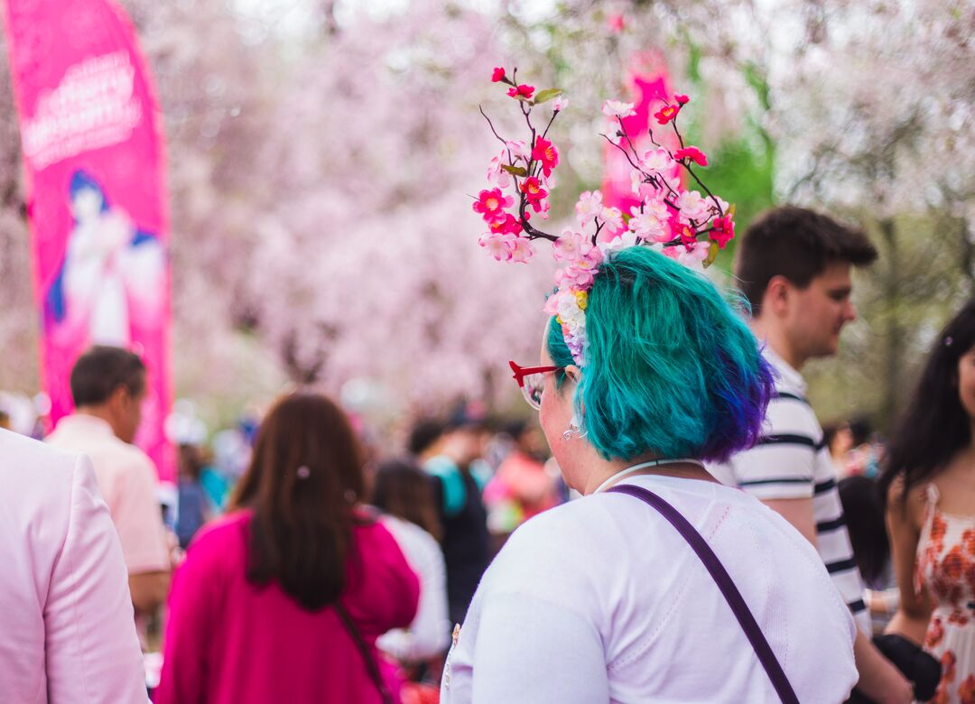 Cherry Blossom Festival