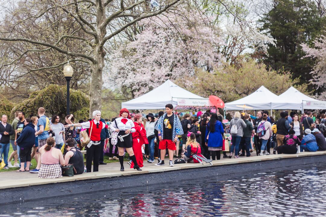 Cherry Blossom Festival