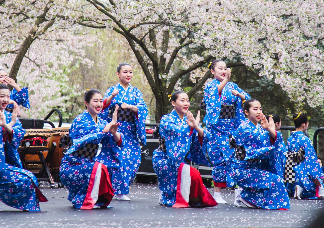 Cherry Blossom Festival