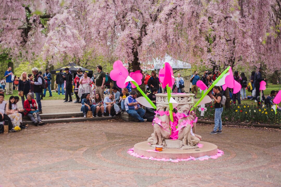 Cherry Blossom Festival