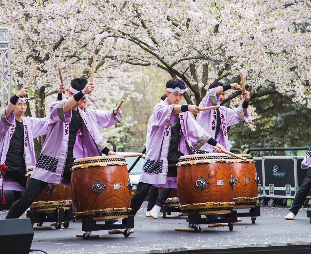 Cherry Blossom Festival