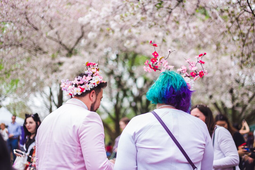 Cherry Blossom Festival