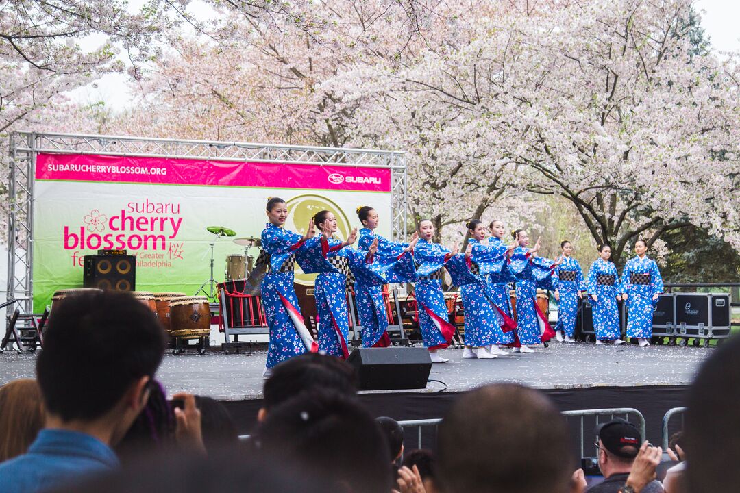 Cherry Blossom Festival