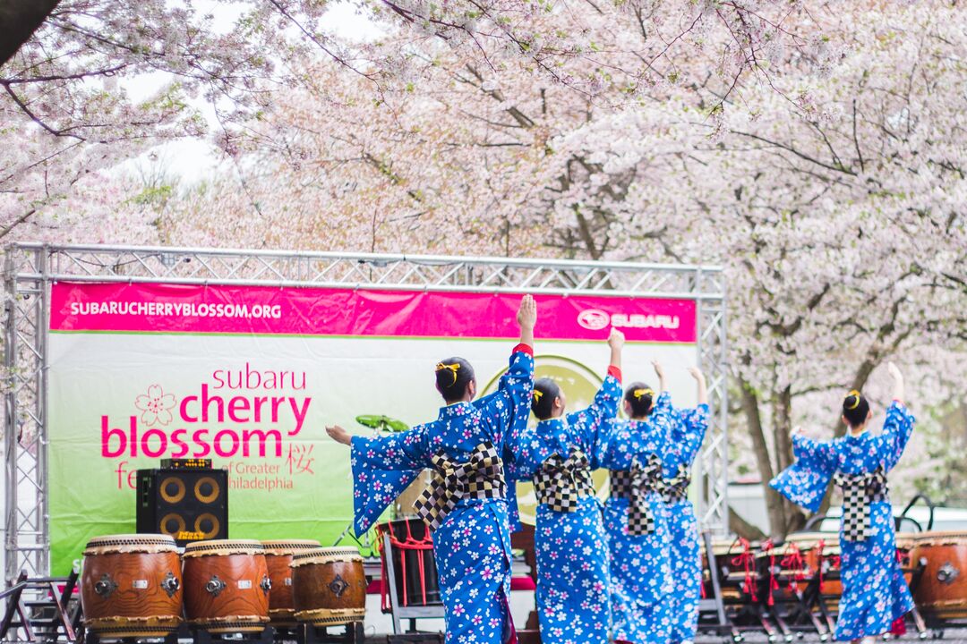 Cherry Blossom Festival