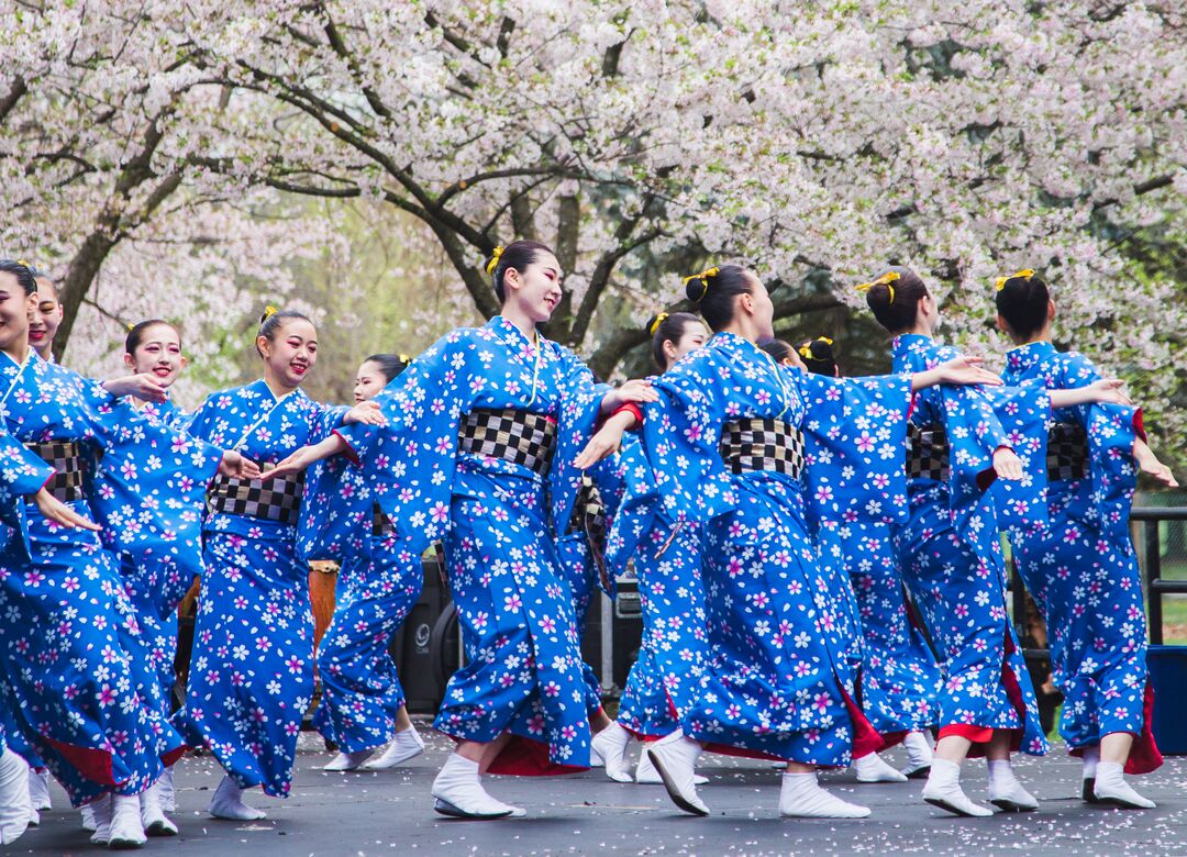 Cherry Blossom Festival