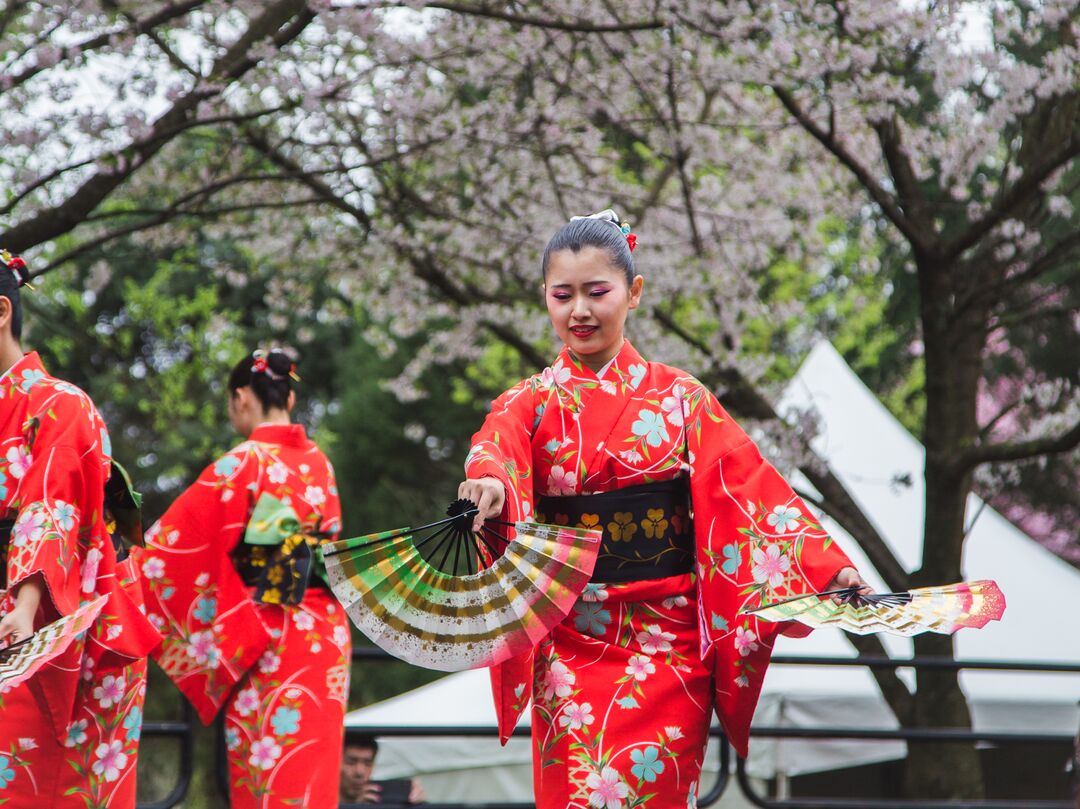 Cherry Blossom Festival