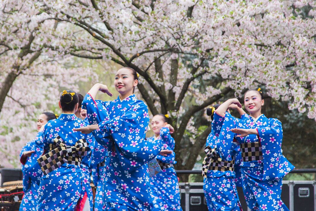 Cherry Blossom Festival