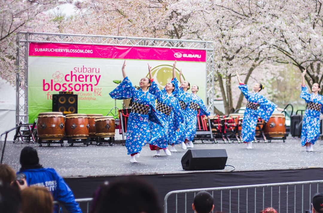 Cherry Blossom Festival