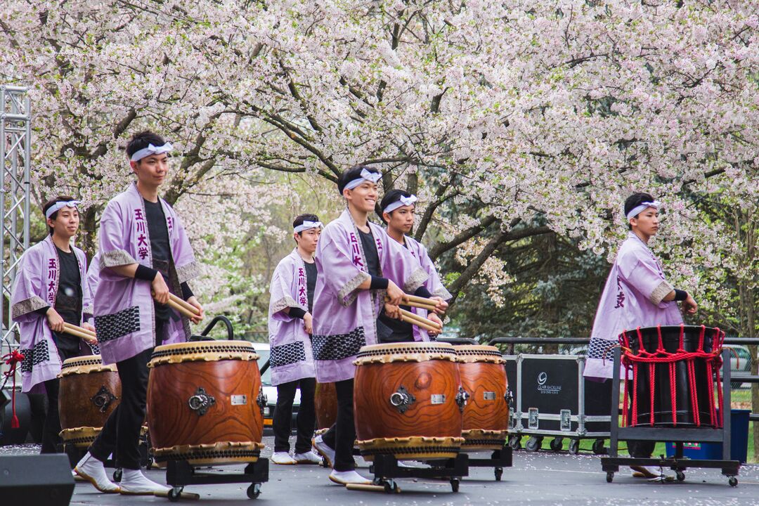 Cherry Blossom Festival