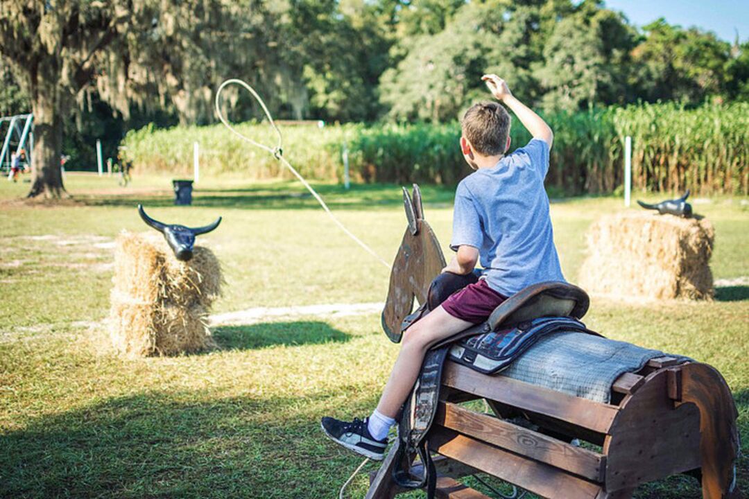 Farm Games at HarvestMoon Fun Farm