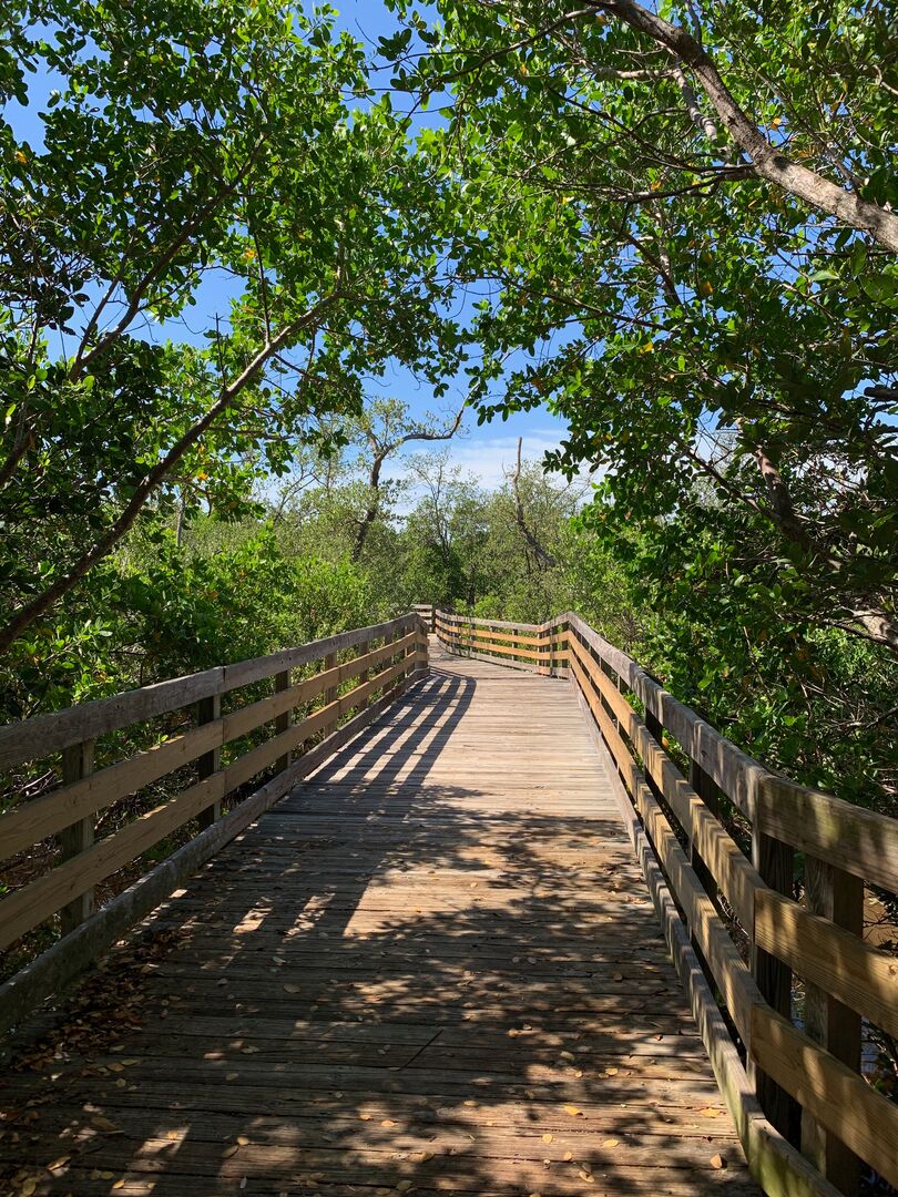 Emerson Point Preserve