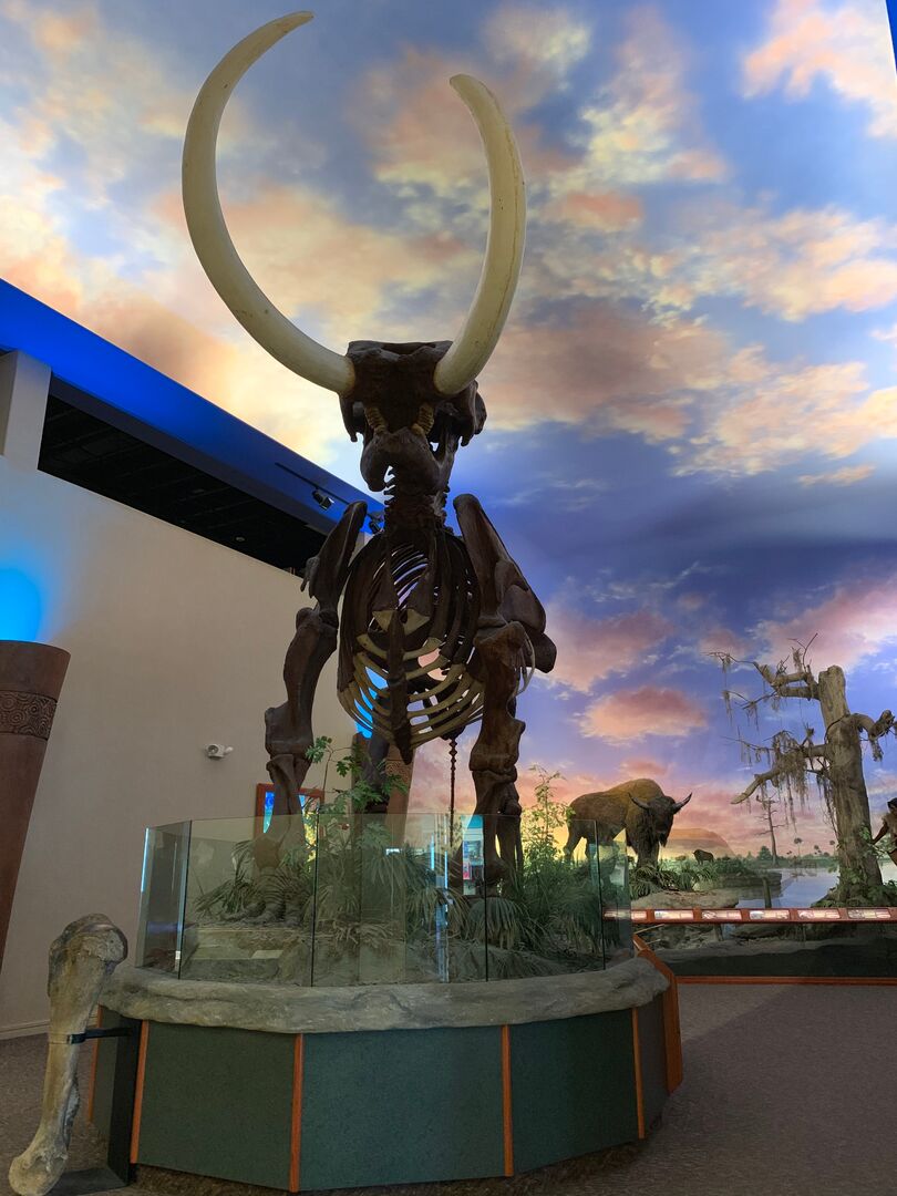 The Bishop Museum of Science and Nature
