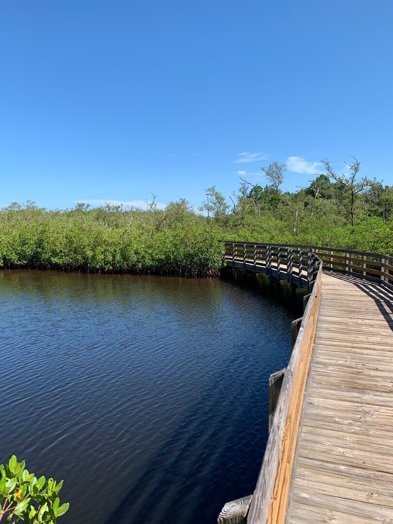 Emerson Point Preserve