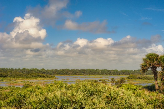 Guana Preserve