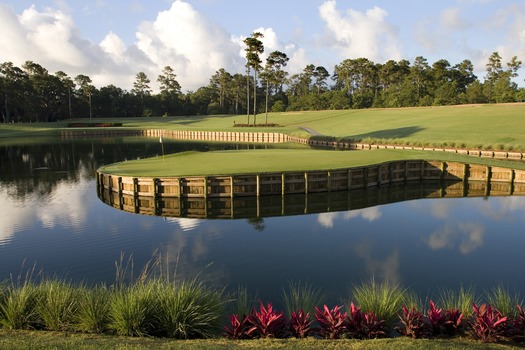 Hole 17 - TPC Sawgrass - for FFCOG