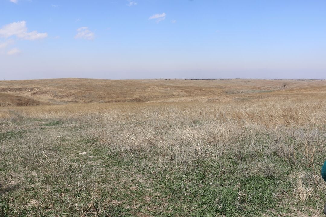 Cather Prairie