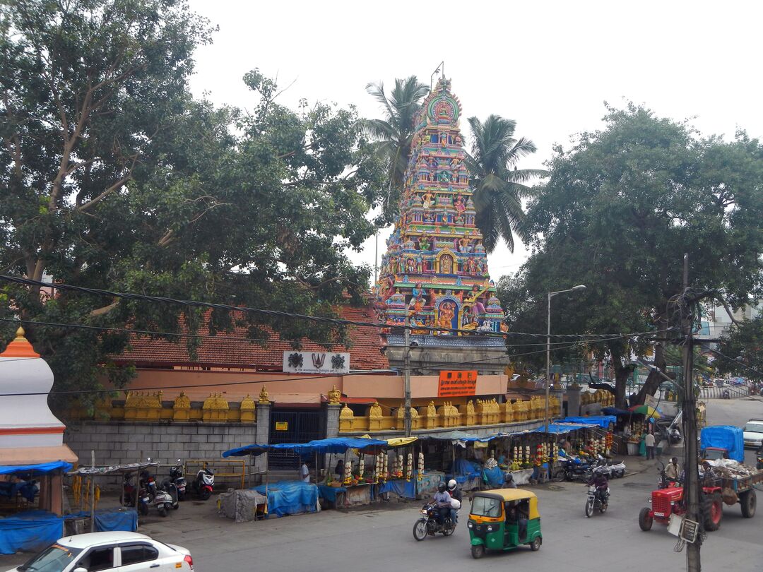 RNS-Bangalore-River01 081519