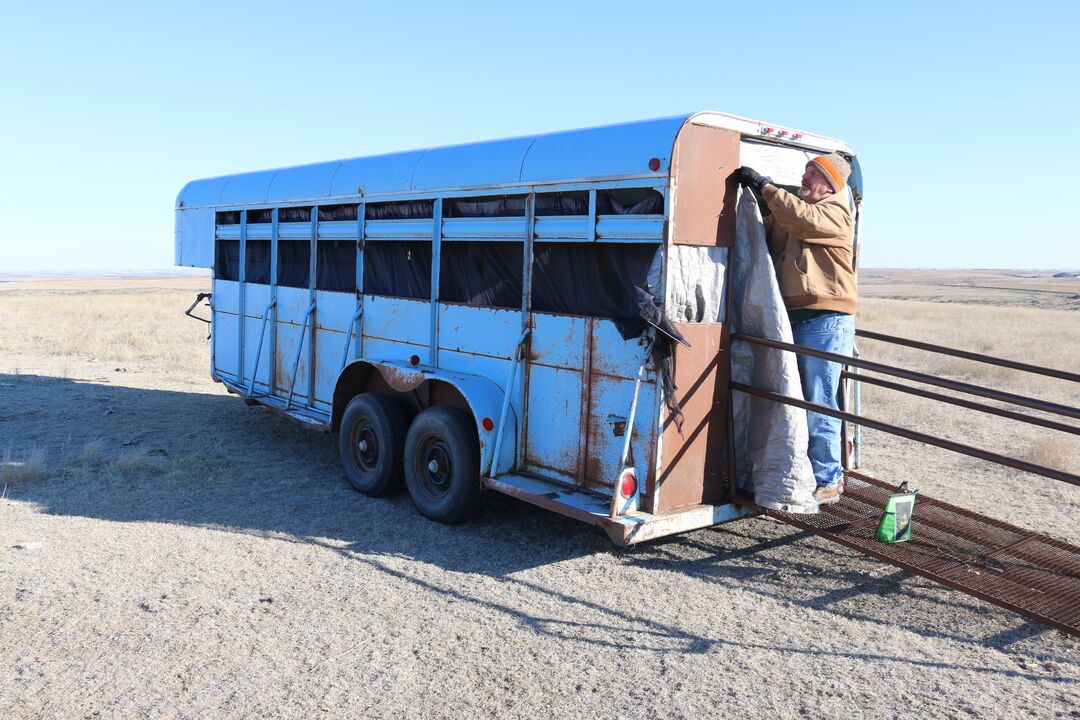 Prairie Chicken Viewing