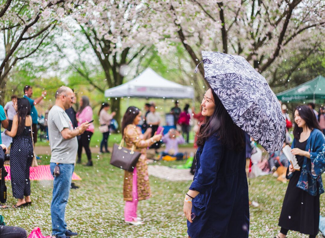 Cherry Blossom Festival