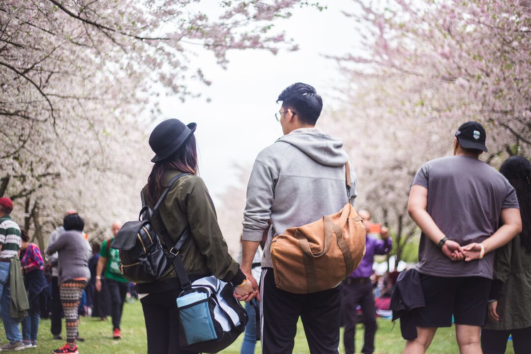 Cherry Blossom Festival