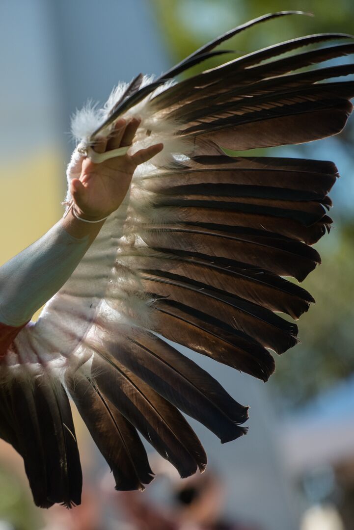 Hopi Eagle Dancer