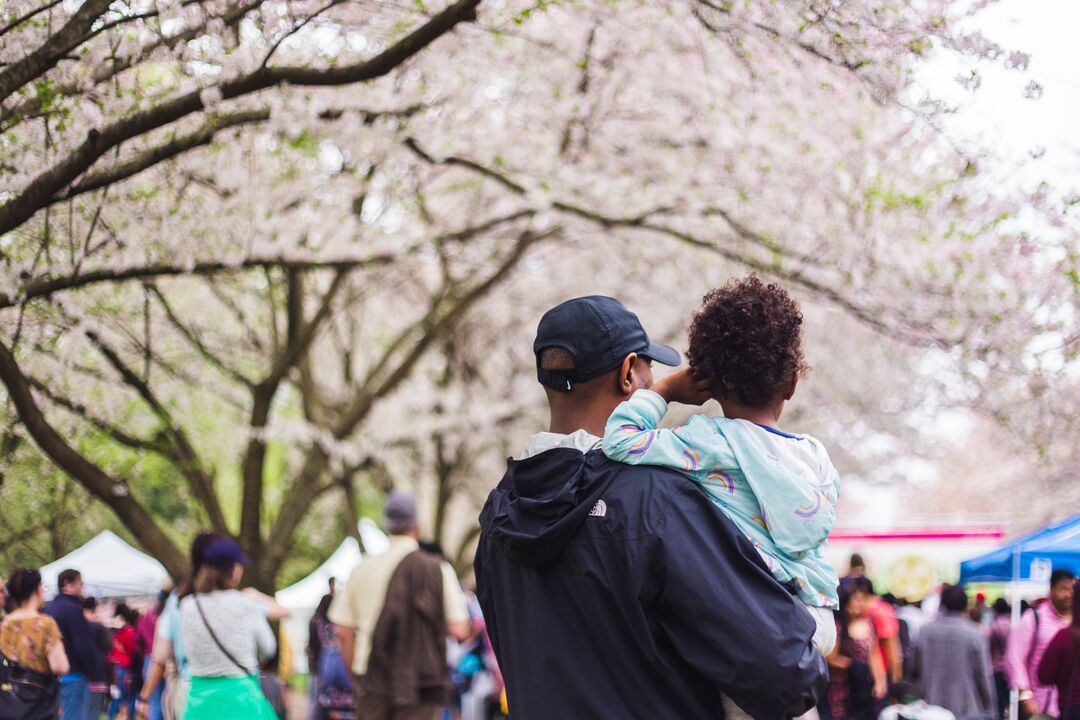 Cherry Blossom Festival