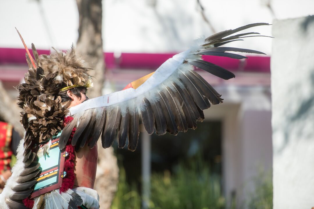 Hopi Eagle Dancer