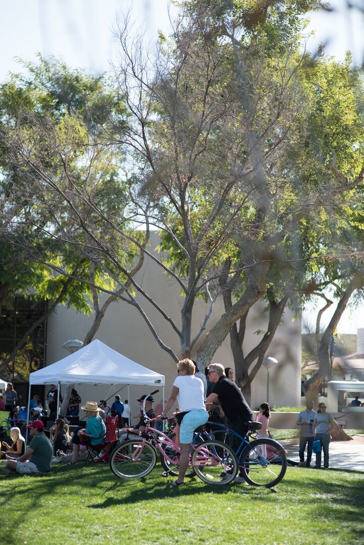 Arizona Indian Festival