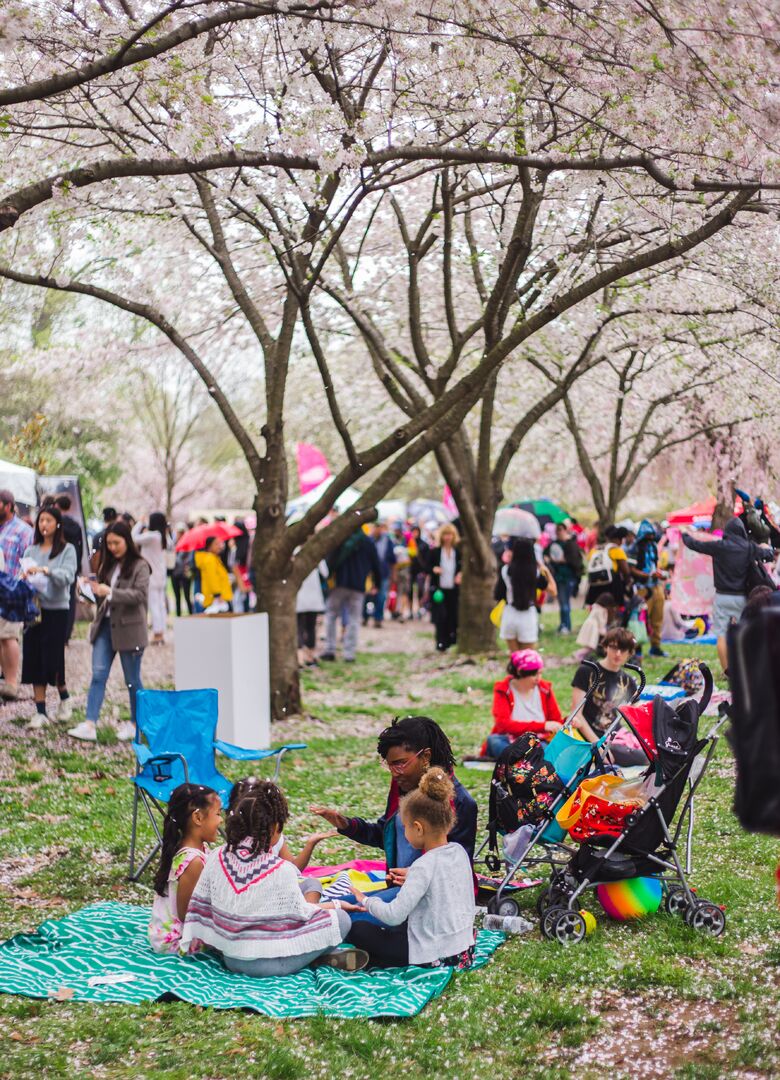 Cherry Blossom Festival