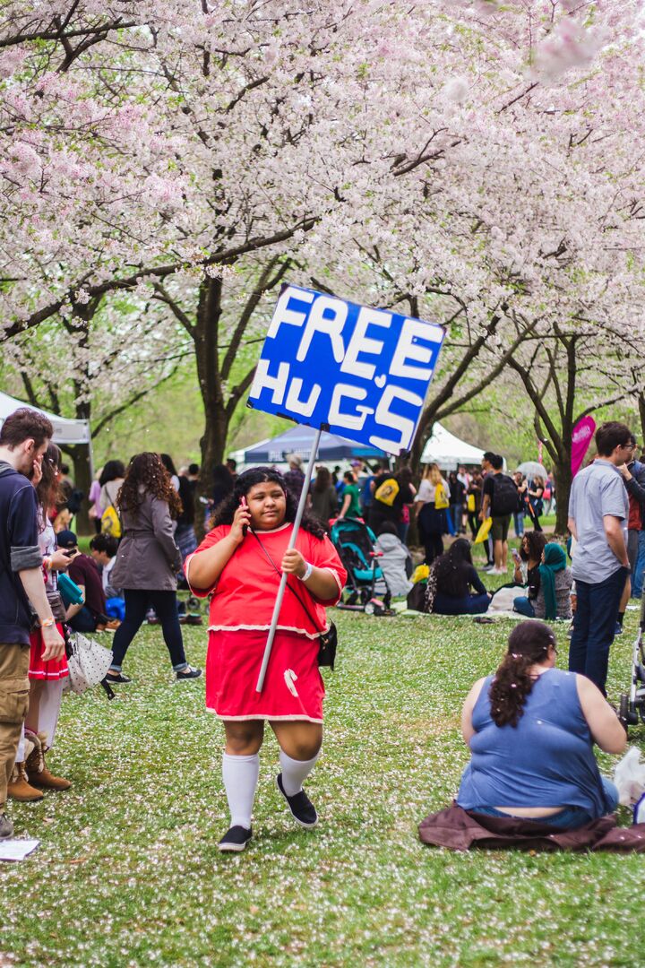 Cherry Blossom Festival