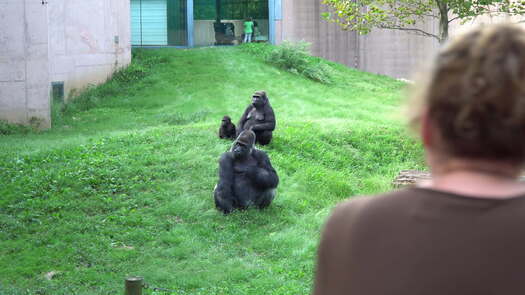 Philadelphia Zoo