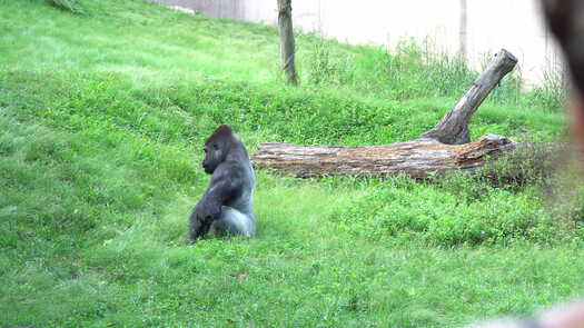 Philadelphia Zoo