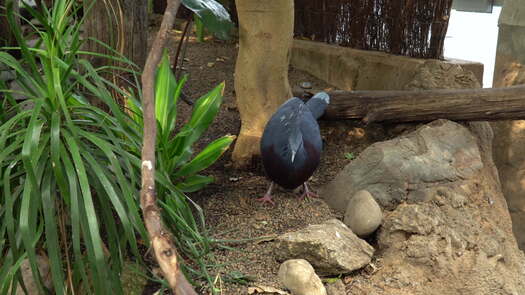 Philadelphia Zoo