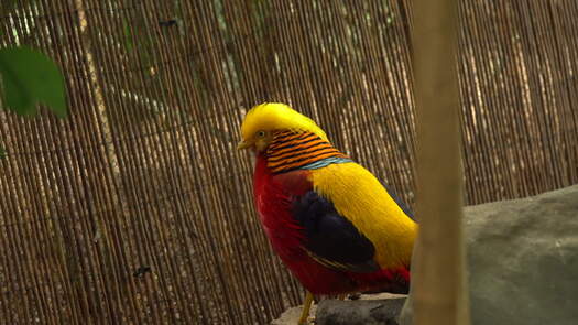 Philadelphia Zoo